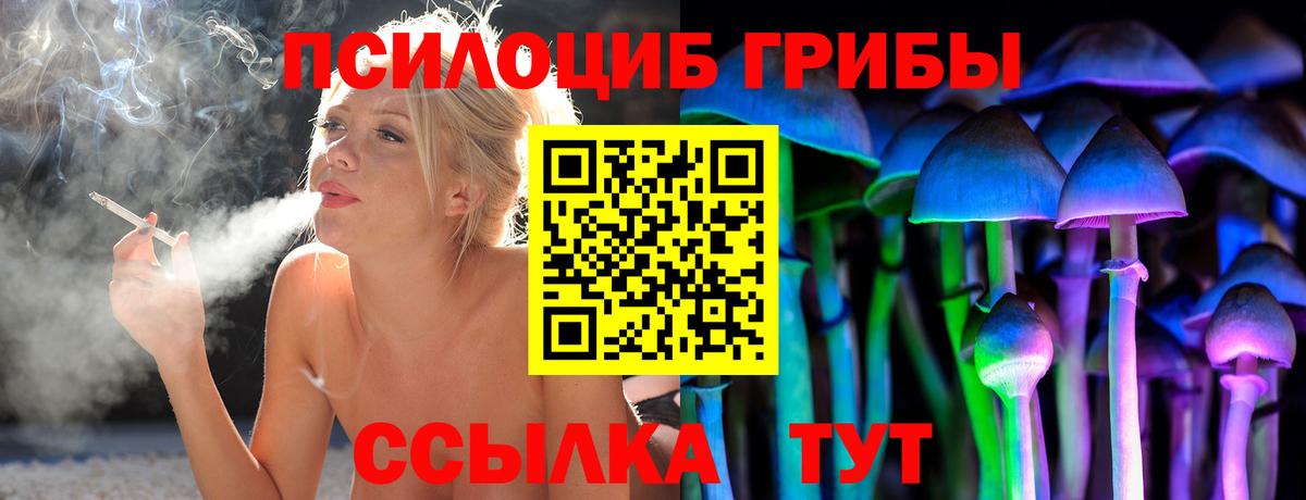 Галлюциногенные грибы GOLDEN TEACHER  Вход с VPN  Гуково 