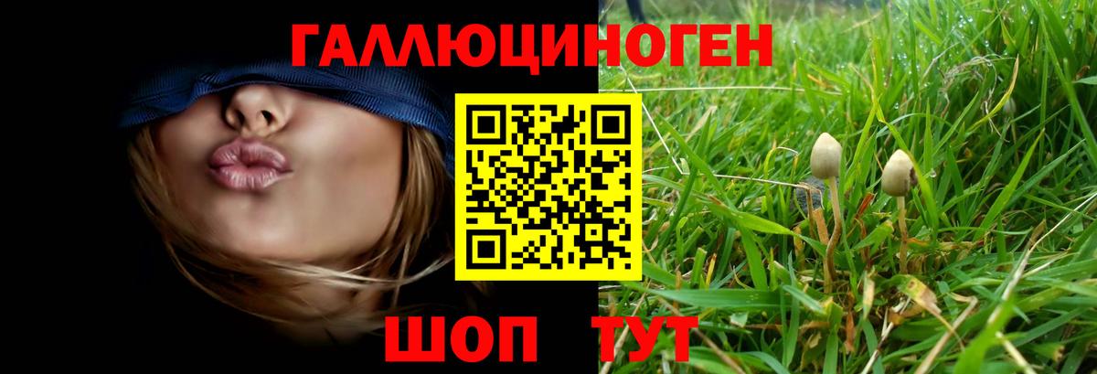 Галлюциногенные грибы прущие грибы Гуково